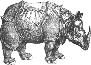 RHINO